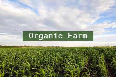 organicfarm